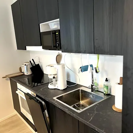 New 42 Square Feet Two Bedrooms With Sauna For Six *