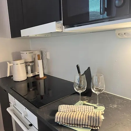 New 42 Square Feet Two Bedrooms With Sauna For Six Apartament Helsinki